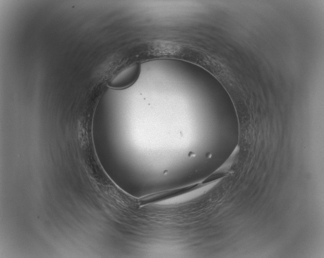 X0000073520743200608140959