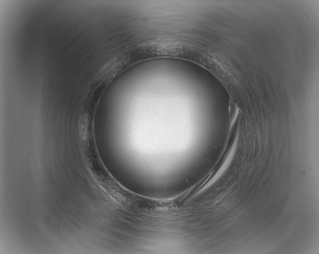 X0000073520744200608140959