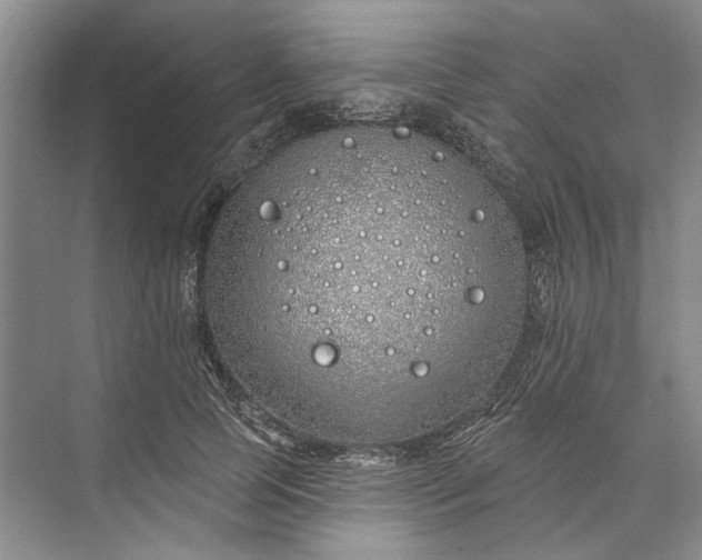 X0000073520745200608141000