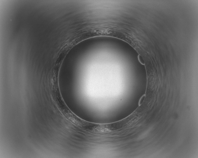 X0000073520747200608141000