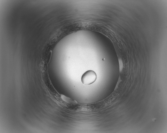 X0000073520750200608141000