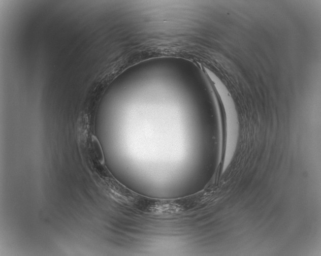 X0000073520752200608141000