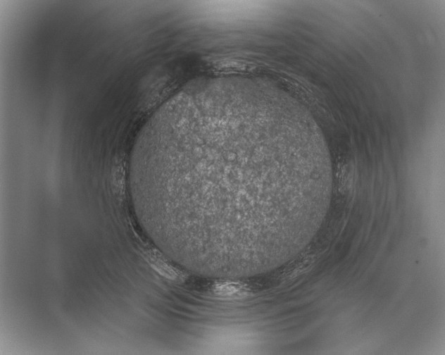 X0000073520753200608141000