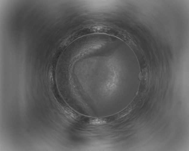 X0000073520754200608141000