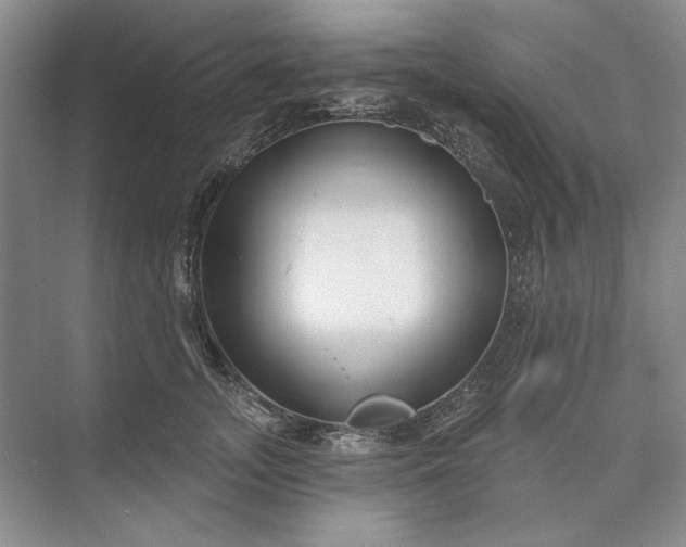 X0000073520755200608141000