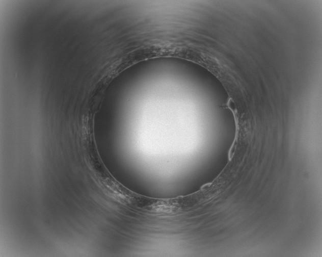 X0000073520756200608141000