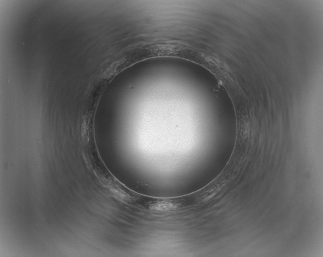 X0000073520759200608141000