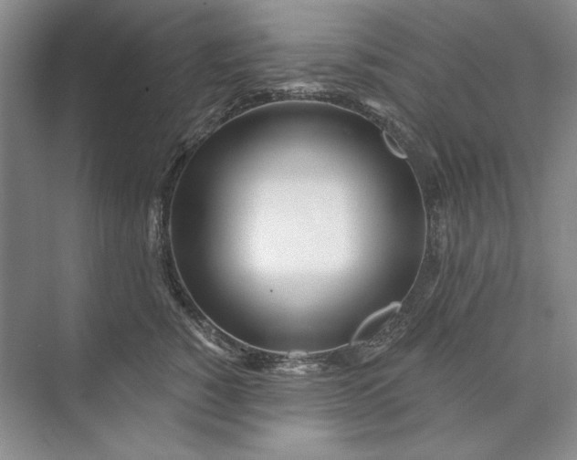 X0000073520760200608141000