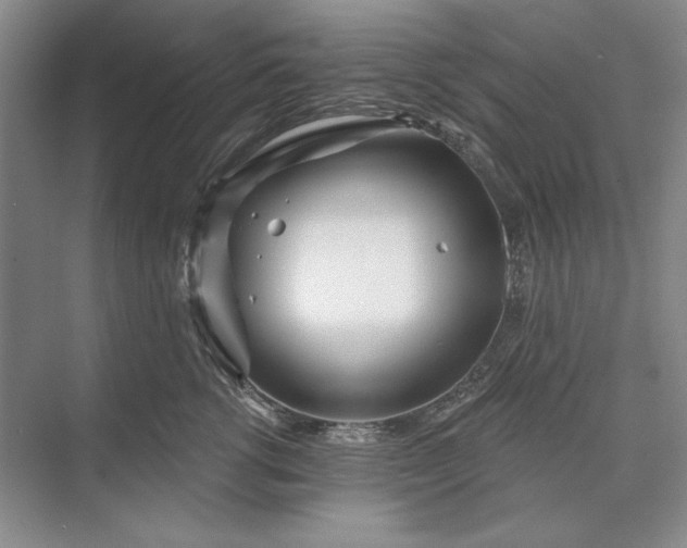 X0000073520762200608141000