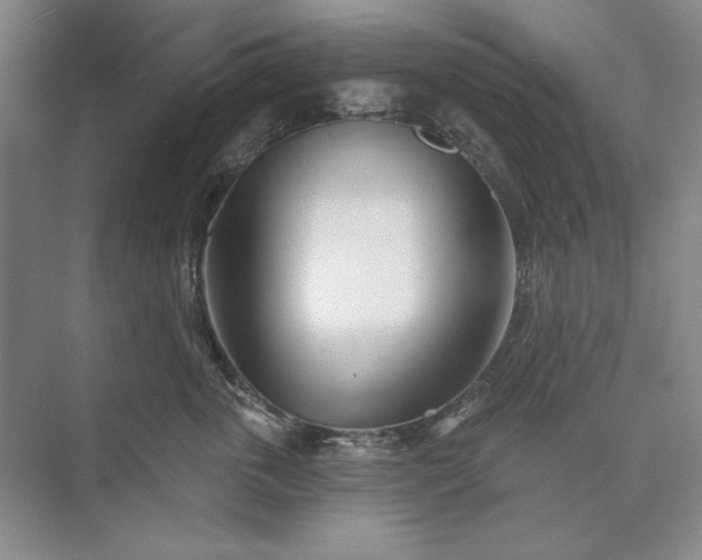 X0000073520763200608141000