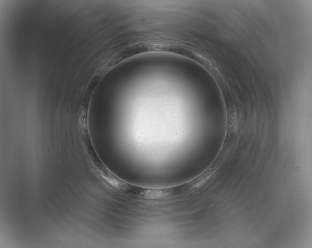 X0000073520766200608141000