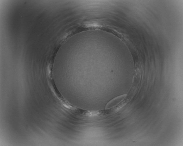 X0000073520767200608141000