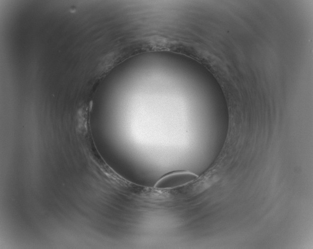 X0000073520768200608141000