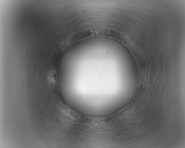 X0000073520770200608140959