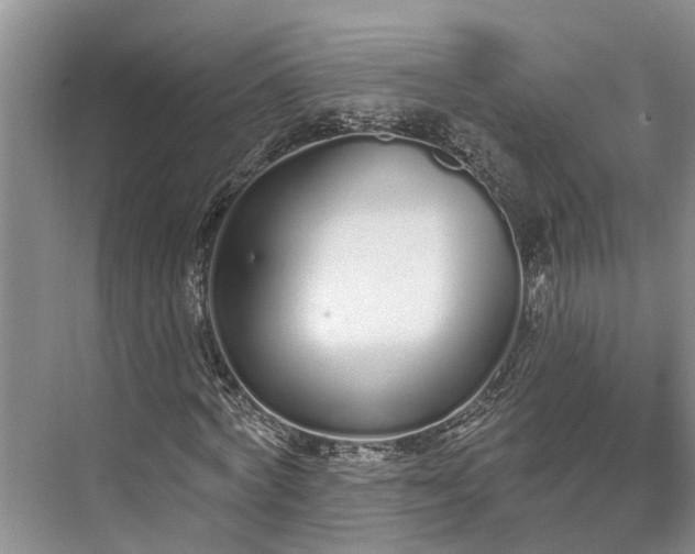 X0000073520772200608140959