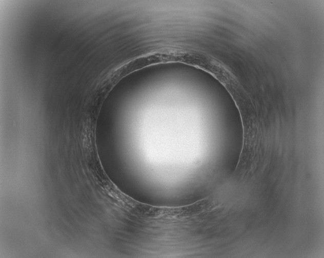 X0000073520773200608140959