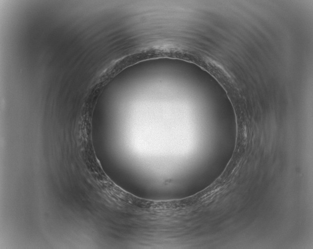 X0000073520776200608140959