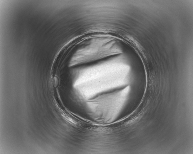 X0000073520779200608140959