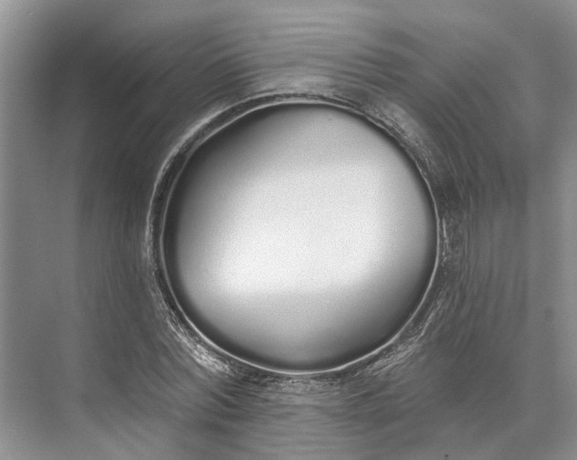 X0000073520780200608140959