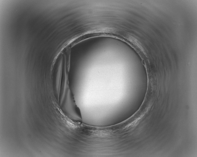 X0000073520781200608140959