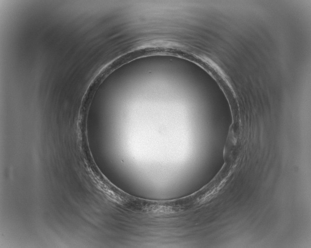 X0000073520783200608140959