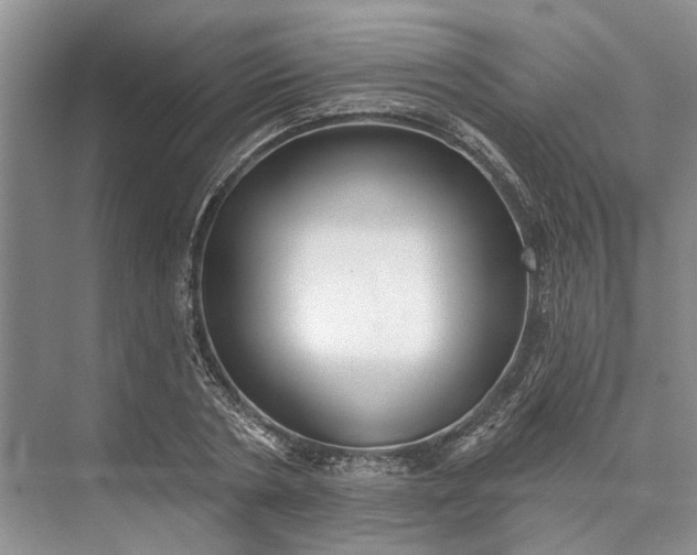 X0000073520786200608140959