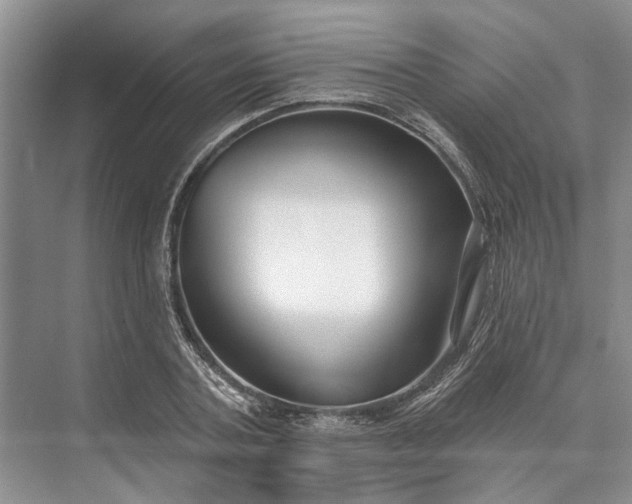 X0000073520787200608140959