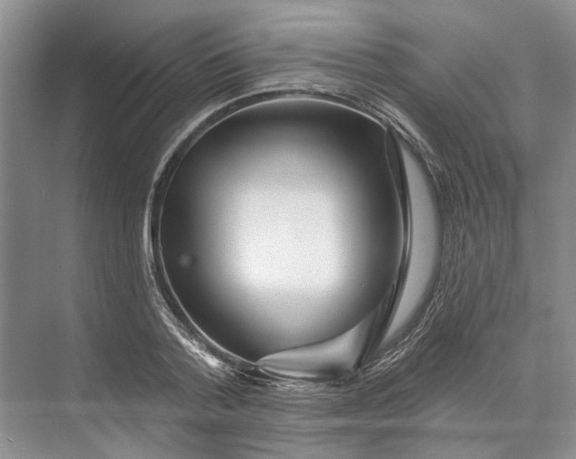 X0000073520788200608140959