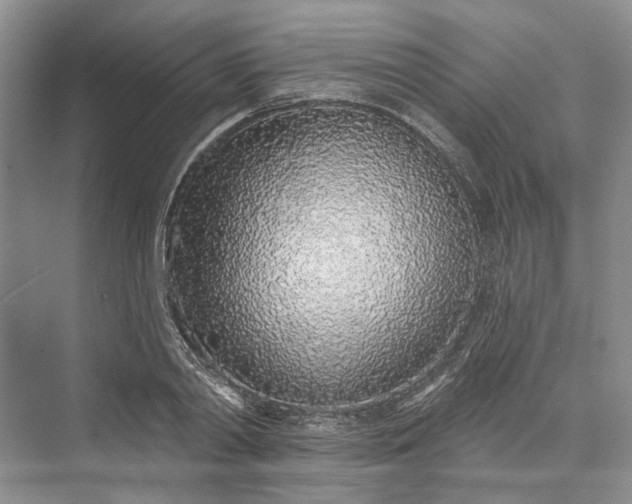 X0000073520790200608140959