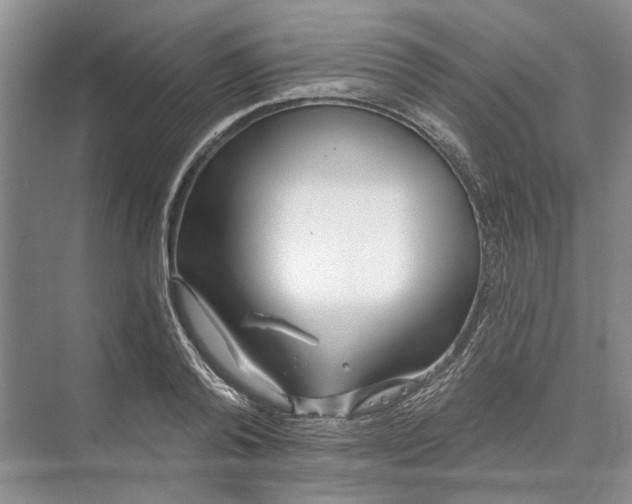 X0000073520792200608140959