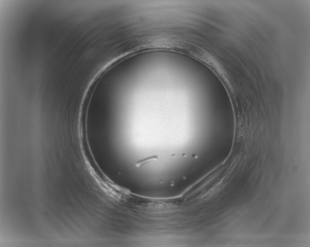 X0000073520795200608140959