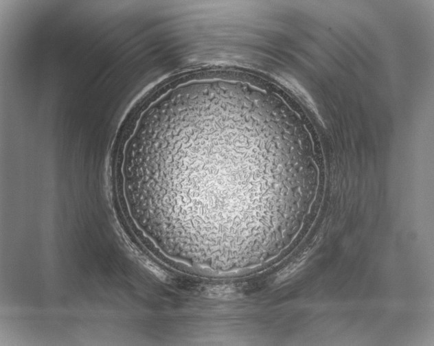 X0000073520798200608140959