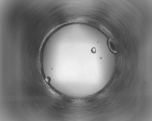 X0000073520800200608140959