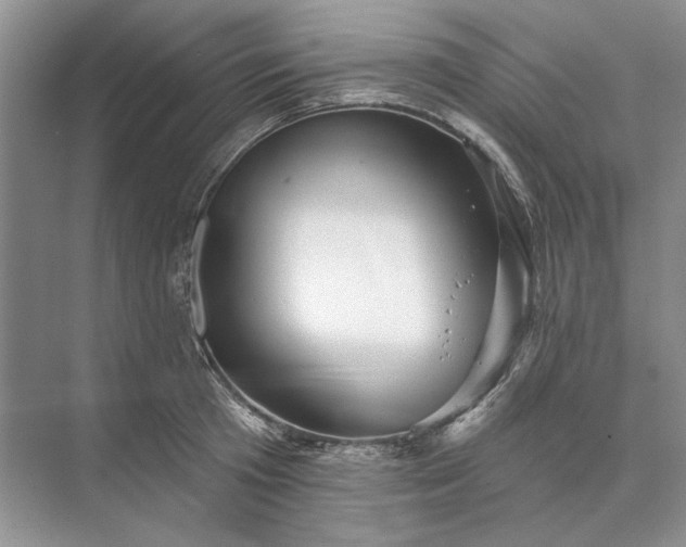 X0000073520801200608140959