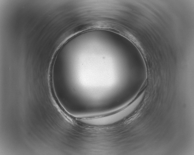 X0000073520803200608140959