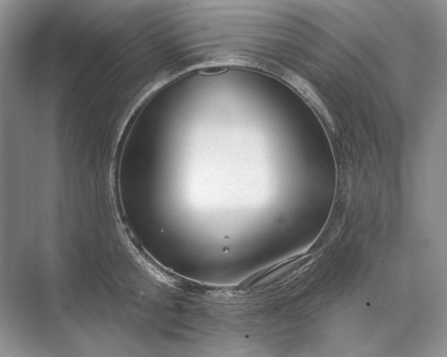 X0000073520805200608140958