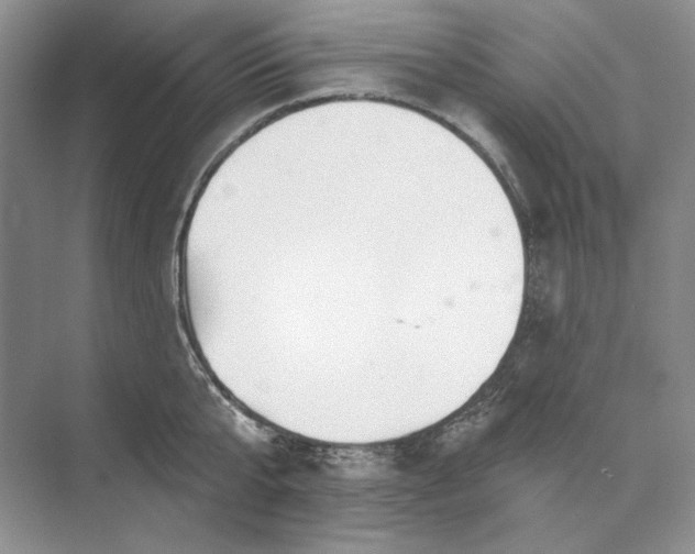 X0000073520807200608140958