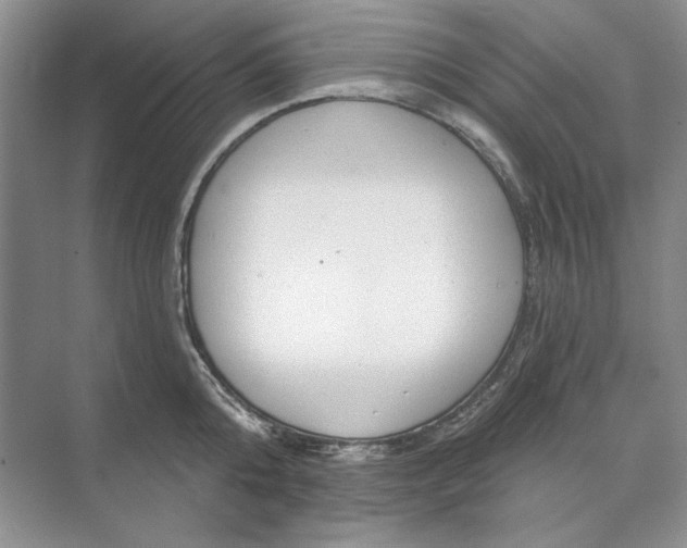 X0000073520808200608140958