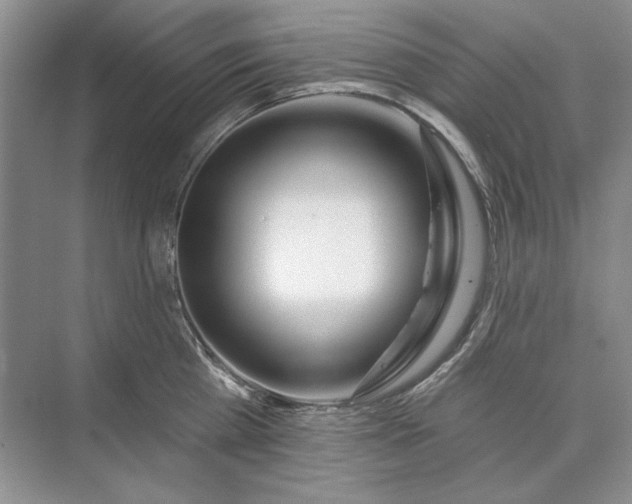 X0000073520809200608140958