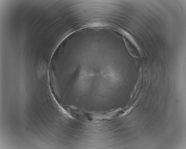 X0000073520810200608140958