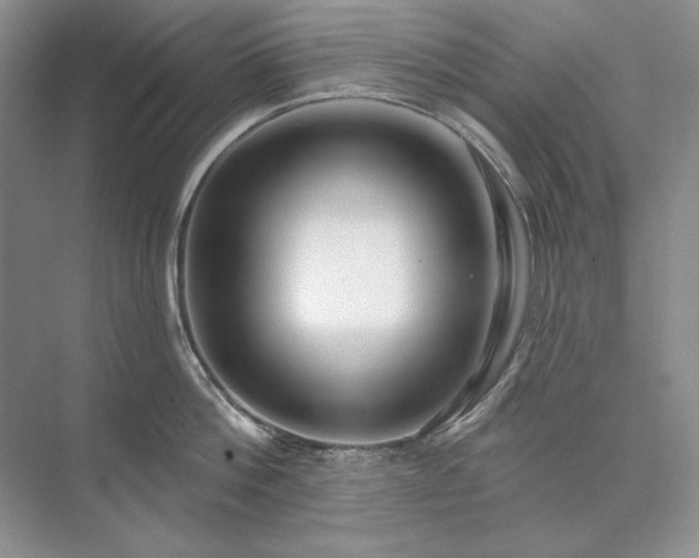 X0000073520812200608140958