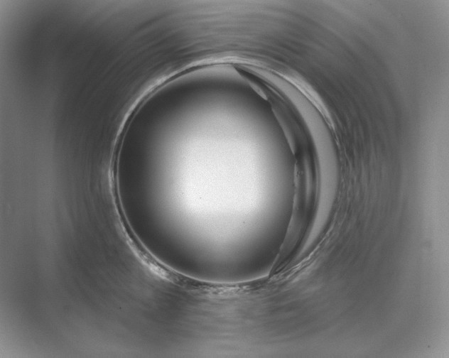 X0000073520813200608140958