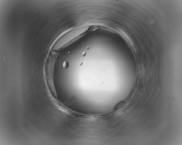 X0000073520814200608140958