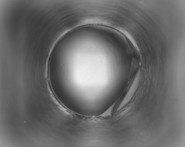 X0000073520815200608140958