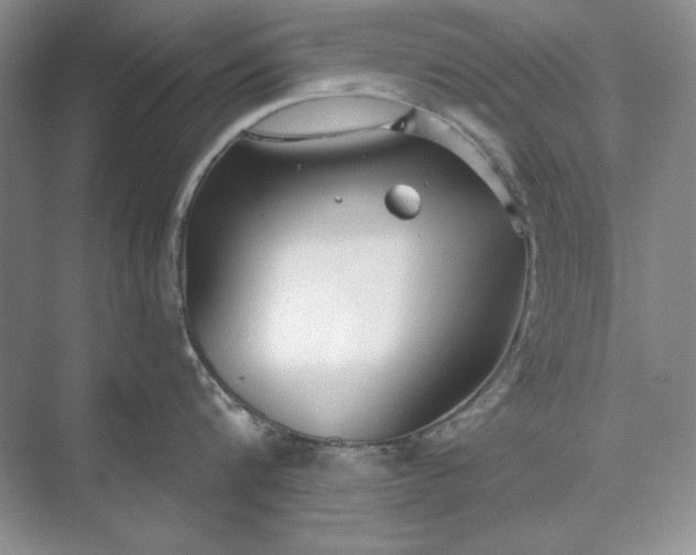 X0000073520816200608140958