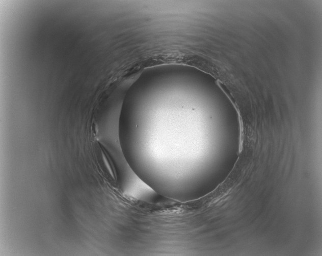 X0000073520818200608140958