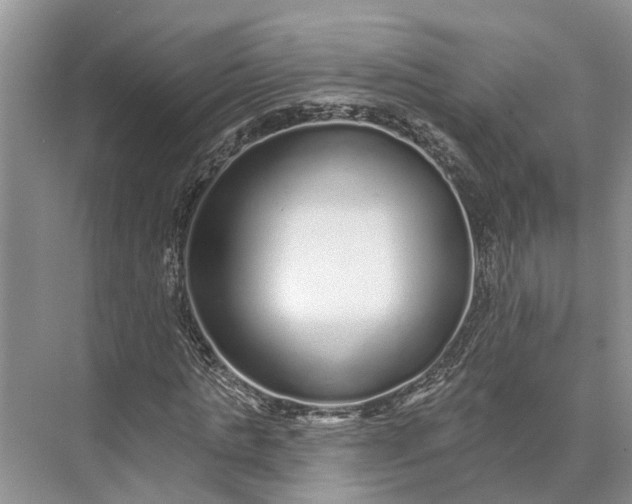 X0000073520821200608140958