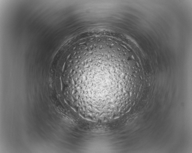 X0000073520823200608140958