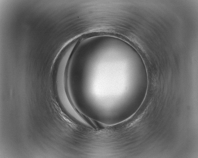 X0000073520830200608140958