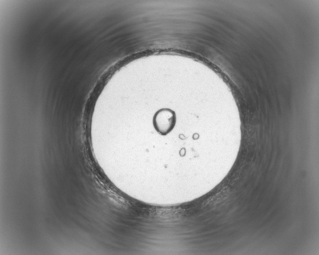 X0000073520832200608140958